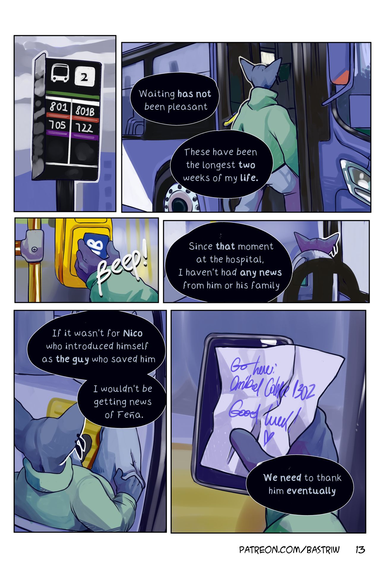 Page 13